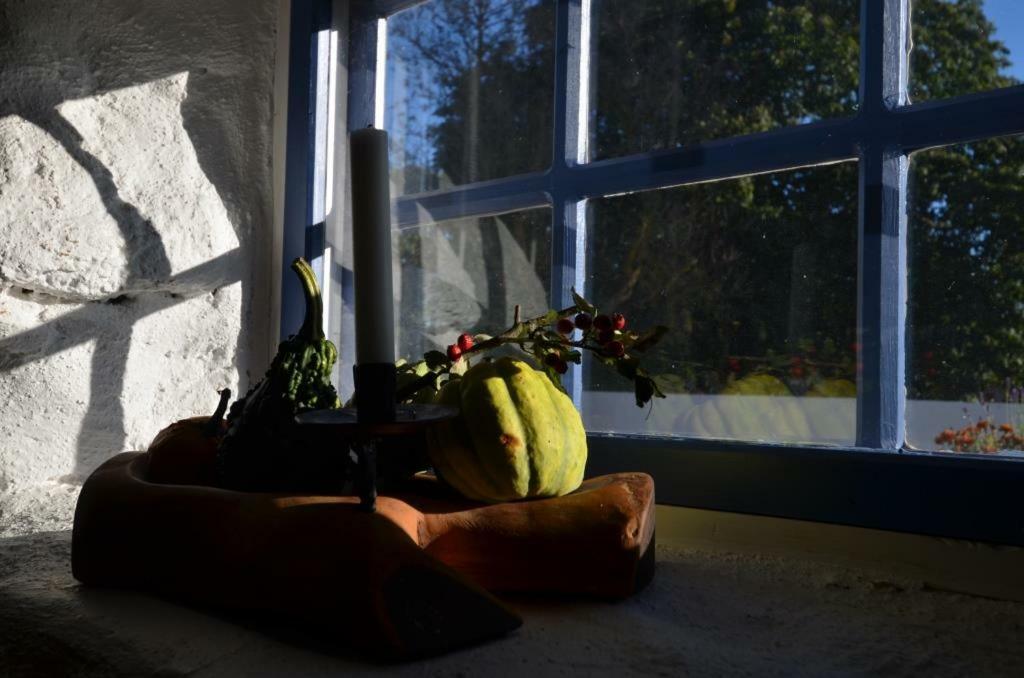 Rosenborgs Friluftspensionat Färjestaden Kültér fotó