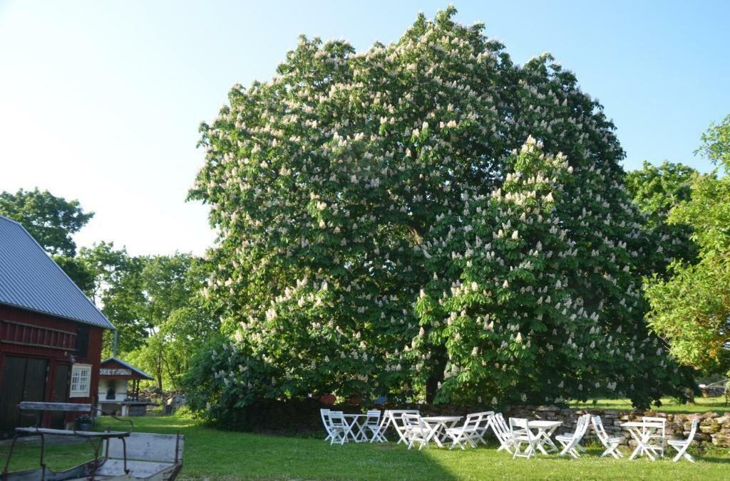 Rosenborgs Friluftspensionat Färjestaden Kültér fotó